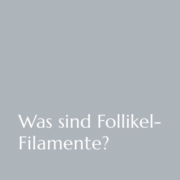 2023_08_09_Bild_1_Follikel_Filamente